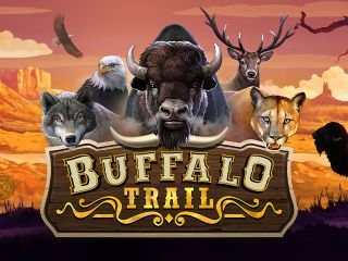 Buffalo Trail Dice