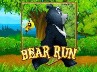 Bear Run