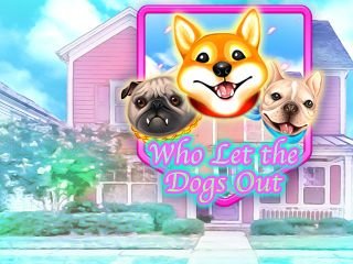 Who Let the Dogs Out